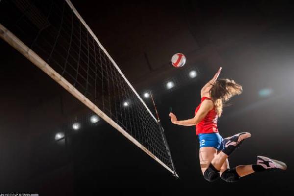 体育培训机构员工离职申请模板